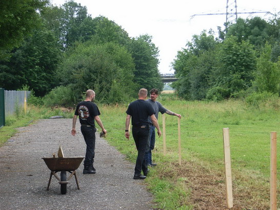 Bild 9 von 170  -  108 kB