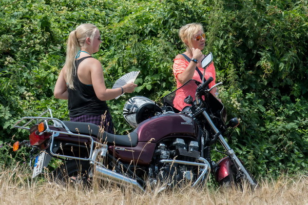 Bild 8 von 84  -  175 kB