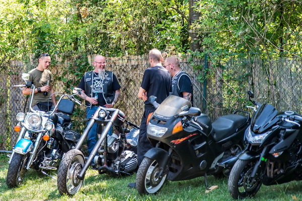 Bild 31 von 84  -  189 kB