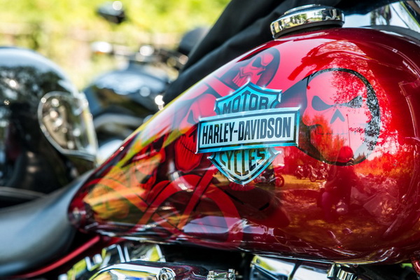 Bild 39 von 84  -  125 kB