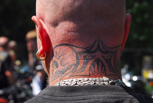 Bild 16 von 50  -  100 kB