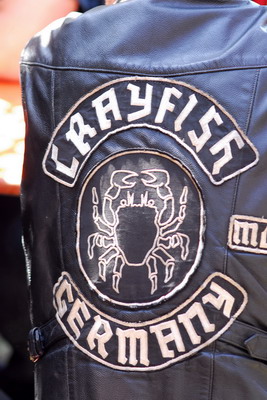 Bild 31 von 50  -  72 kB