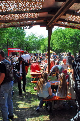 Bild 32 von 50  -  87 kB