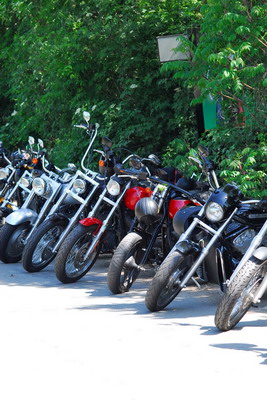 Bild 48 von 50  -  75 kB