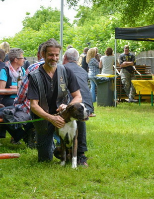 Bild 16 von 96  -  74 kB