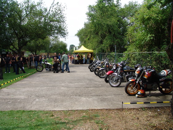 Bild 6 von 64  -  132 kB