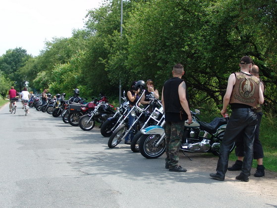 Bild 21 von 64  -  110 kB