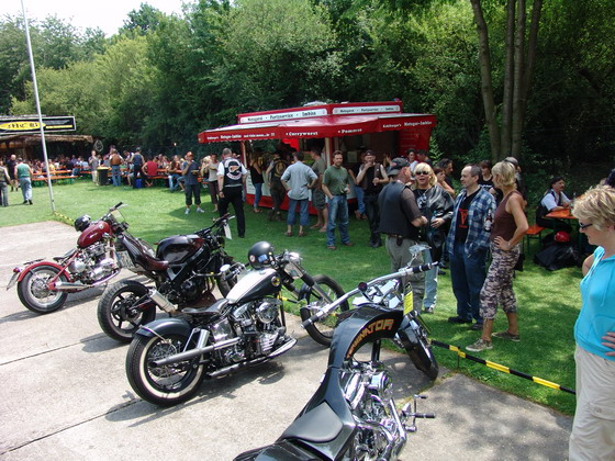 Bild 31 von 64  -  133 kB