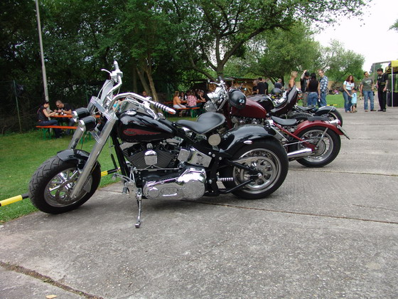 Bild 52 von 64  -  125 kB