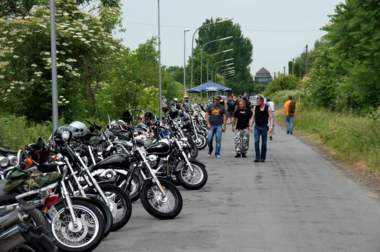 Image 25 of 112  -  164 kB