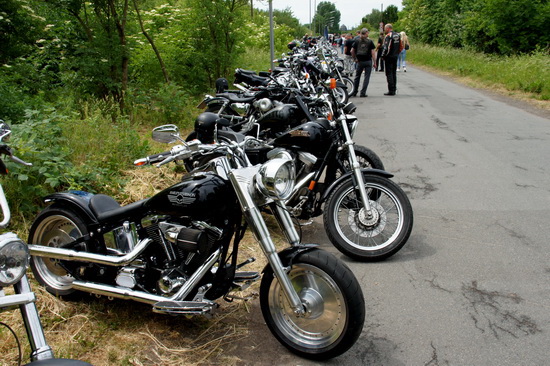 Image 52 of 112  -  172 kB