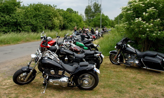 Image 54 of 112  -  161 kB