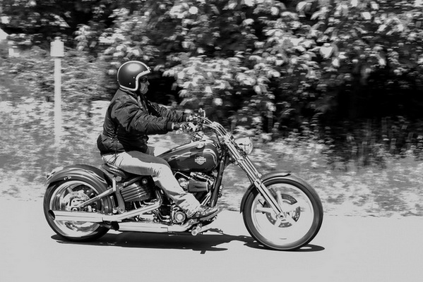 Bild 33 von 172  -  118 kB