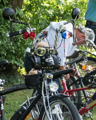 Bild 133 von 172  -  91 kB