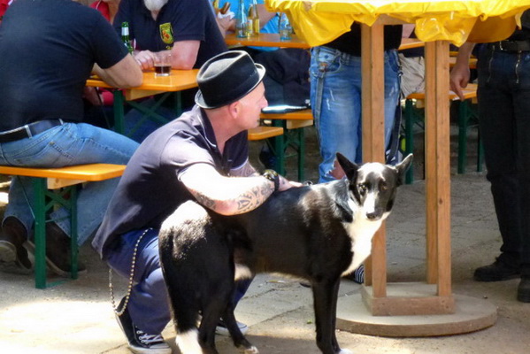 Bild 148 von 172  -  119 kB